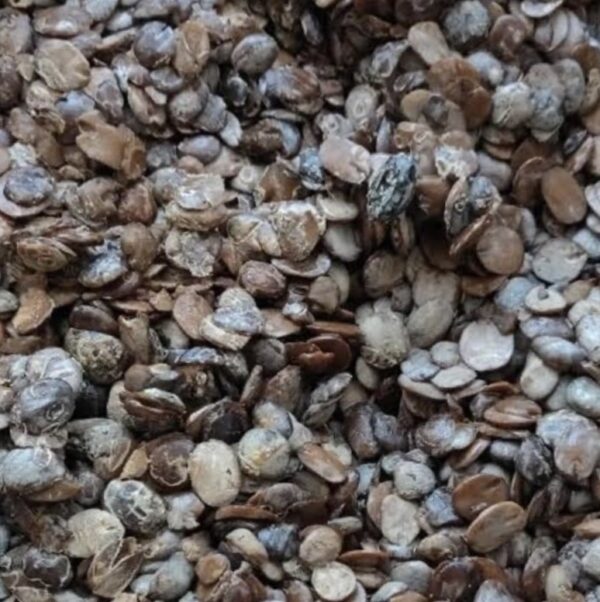 Locust Beans